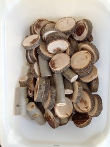 class play - tree cookies 2