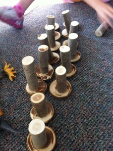 tree cookies - wood forest